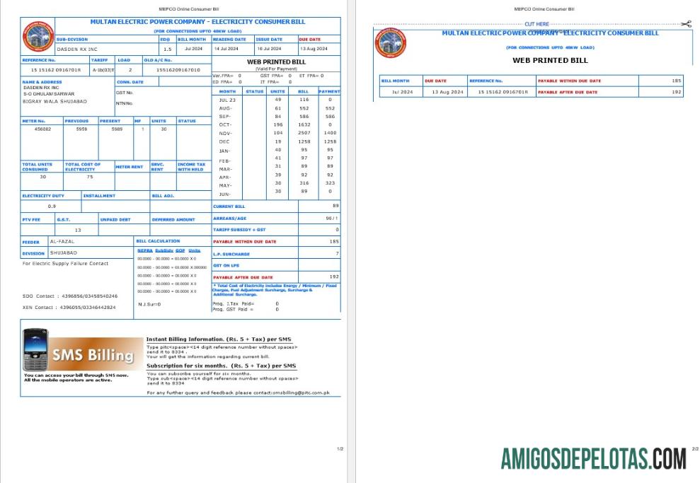 realista PAQUISTÃO MULTAN ENERGIA ELÉTRICA Business Utility Bill Word e modelo PDF